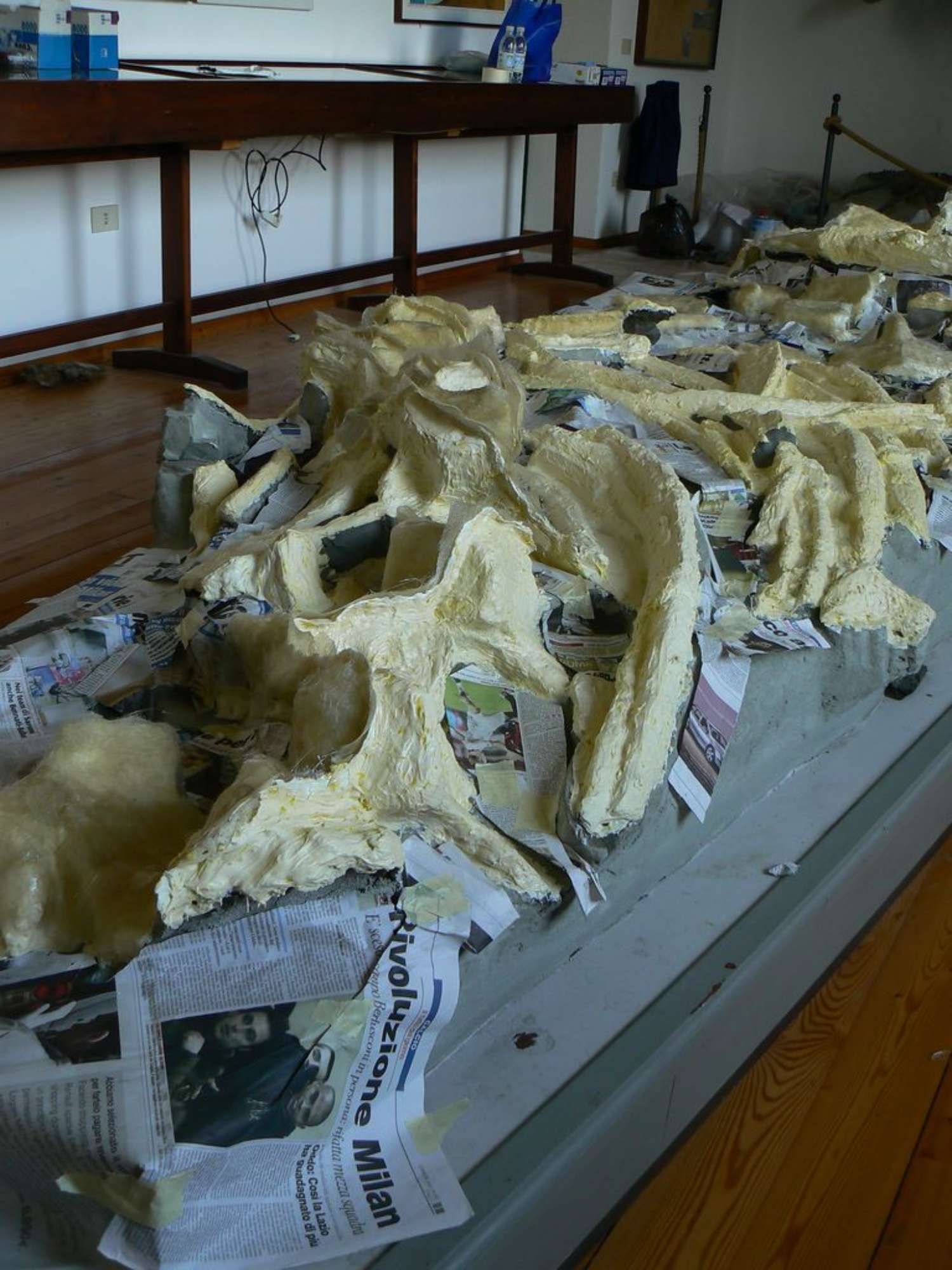 Festa scuola Ale 097